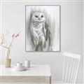 Picture of Living Owl _GroupedProduct_Rectangle_Portrait_Canvas_Framed_