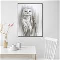 Picture of Living Owl _GroupedProduct_Rectangle_Portrait_Canvas_Framed_