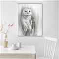 Picture of Living Owl _GroupedProduct_Rectangle_Portrait_Canvas_Framed_
