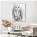 Picture of Living Owl _GroupedProduct_Rectangle_Portrait_Canvas_Framed_