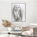 Picture of Living Owl _GroupedProduct_Rectangle_Portrait_Canvas_Framed_