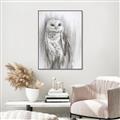 Picture of Living Owl _GroupedProduct_Rectangle_Portrait_Canvas_Framed_