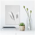 Picture of White Cluster petaled flower _GroupedProduct_Rectangle_Portrait_Photography _GroupedProduct_Rectangle_Portrait_Unframed_Print_Only_