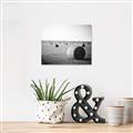 Picture of Hay Bails _GroupedProduct_Rectangle_Landscape_Photography _GroupedProduct_Rectangle_Landscape_Unframed_Print_Only_