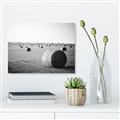 Picture of Hay Bails _GroupedProduct_Rectangle_Landscape_Photography _GroupedProduct_Rectangle_Landscape_Unframed_Print_Only_
