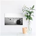 Picture of Hay Bails _GroupedProduct_Rectangle_Landscape_Photography _GroupedProduct_Rectangle_Landscape_Unframed_Print_Only_