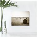 Picture of Hay Bails _GroupedProduct_Rectangle_Landscape_Photography _GroupedProduct_Rectangle_Landscape_Unframed_Print_Only_