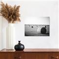 Picture of Hay Bails _GroupedProduct_Rectangle_Landscape_Photography _GroupedProduct_Rectangle_Landscape_Unframed_Print_Only_