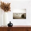 Picture of Hay Bails _GroupedProduct_Rectangle_Landscape_Photography _GroupedProduct_Rectangle_Landscape_Unframed_Print_Only_