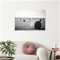 Picture of Hay Bails _GroupedProduct_Rectangle_Landscape_Photography _GroupedProduct_Rectangle_Landscape_Unframed_Print_Only_
