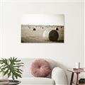Picture of Hay Bails _GroupedProduct_Rectangle_Landscape_Photography _GroupedProduct_Rectangle_Landscape_Unframed_Print_Only_