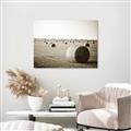 Picture of Hay Bails _GroupedProduct_Rectangle_Landscape_Photography _GroupedProduct_Rectangle_Landscape_Unframed_Print_Only_