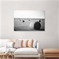 Picture of Hay Bails _GroupedProduct_Rectangle_Landscape_Photography _GroupedProduct_Rectangle_Landscape_Unframed_Print_Only_
