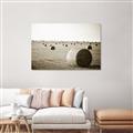 Picture of Hay Bails _GroupedProduct_Rectangle_Landscape_Photography _GroupedProduct_Rectangle_Landscape_Unframed_Print_Only_