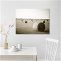 Picture of Hay Bails _GroupedProduct_Rectangle_Landscape_Photography _GroupedProduct_Rectangle_Landscape_Unframed_Print_Only_