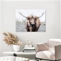 Picture of Bison _GroupedProduct_Rectangle_Landscape_Unframed_Print_Only_