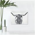 Picture of Painted Longhorn Bull _GroupedProduct_Rectangle_Landscape_Unframed_Print_Only_