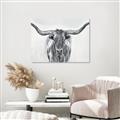 Picture of Painted Longhorn Bull _GroupedProduct_Rectangle_Landscape_Unframed_Print_Only_