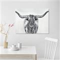 Picture of Painted Longhorn Bull _GroupedProduct_Rectangle_Landscape_Unframed_Print_Only_