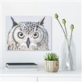 Picture of Close-up The Owl Head _GroupedProduct_Rectangle_Landscape_Unframed_Print_Only_