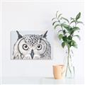 Picture of Close-up The Owl Head _GroupedProduct_Rectangle_Landscape_Unframed_Print_Only_