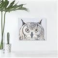 Picture of Close-up The Owl Head _GroupedProduct_Rectangle_Landscape_Unframed_Print_Only_
