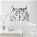 Picture of Close-up The Owl Head _GroupedProduct_Rectangle_Landscape_Unframed_Print_Only_