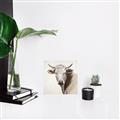 Picture of Neutral Cow _GroupedProduct_Square_Unframed_Print_Only_