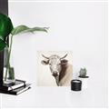 Picture of Neutral Cow _GroupedProduct_Square_Unframed_Print_Only_
