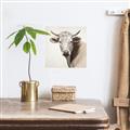 Picture of Neutral Cow _GroupedProduct_Square_Unframed_Print_Only_