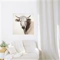 Picture of Neutral Cow _GroupedProduct_Square_Unframed_Print_Only_