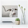 Picture of Cow with Big Horn _GroupedProduct_Rectangle_Landscape_Unframed_Print_Only_