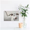 Picture of Cow with Big Horn _GroupedProduct_Rectangle_Landscape_Unframed_Print_Only_