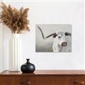 Picture of Cow with Big Horn _GroupedProduct_Rectangle_Landscape_Unframed_Print_Only_