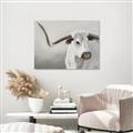 Picture of Cow with Big Horn _GroupedProduct_Rectangle_Landscape_Unframed_Print_Only_