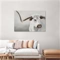 Picture of Cow with Big Horn _GroupedProduct_Rectangle_Landscape_Unframed_Print_Only_
