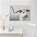Picture of Cow with Big Horn _GroupedProduct_Rectangle_Landscape_Unframed_Print_Only_
