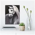 Picture of Soft Horse _GroupedProduct_Rectangle_Portrait_Unframed_Print_Only_