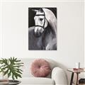 Picture of Soft Horse _GroupedProduct_Rectangle_Portrait_Unframed_Print_Only_