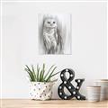 Picture of Living Owl _GroupedProduct_Rectangle_Portrait_Unframed_Print_Only_