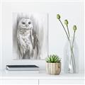 Picture of Living Owl _GroupedProduct_Rectangle_Portrait_Unframed_Print_Only_