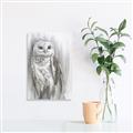 Picture of Living Owl _GroupedProduct_Rectangle_Portrait_Unframed_Print_Only_