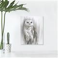 Picture of Living Owl _GroupedProduct_Rectangle_Portrait_Unframed_Print_Only_