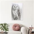 Picture of Living Owl _GroupedProduct_Rectangle_Portrait_Unframed_Print_Only_