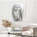 Picture of Living Owl _GroupedProduct_Rectangle_Portrait_Unframed_Print_Only_