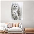 Picture of Living Owl _GroupedProduct_Rectangle_Portrait_Unframed_Print_Only_