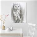Picture of Living Owl _GroupedProduct_Rectangle_Portrait_Unframed_Print_Only_