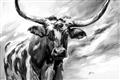 Picture of Longhorn Larry _GroupedProduct_Rectangle_Landscape_Unframed_Print_Only_
