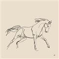 Picture of Sketched Horse II  _GroupedProduct_Square_Unframed_Print_Only_