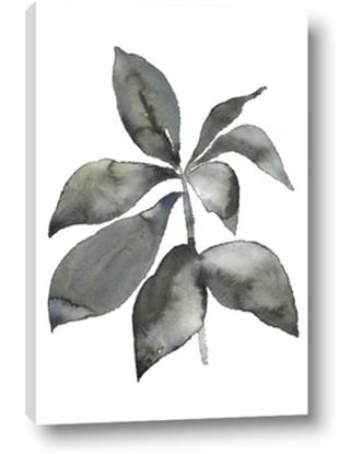 Picture of Black Watercolour Botanical I